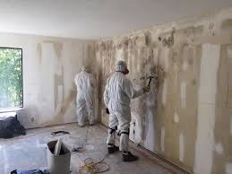 Best Post-Construction Mold Inspection in USA